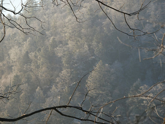 PC274775