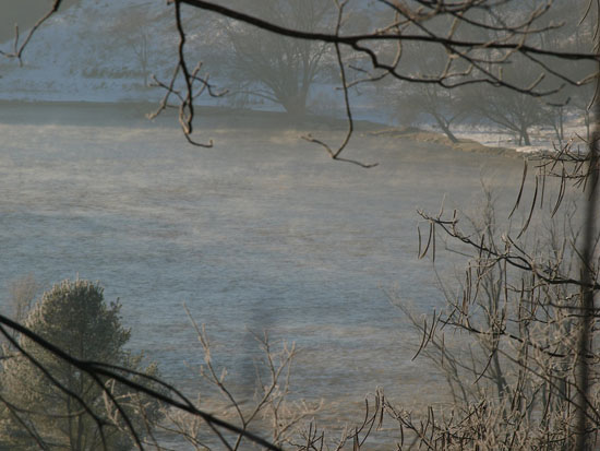 PC274781